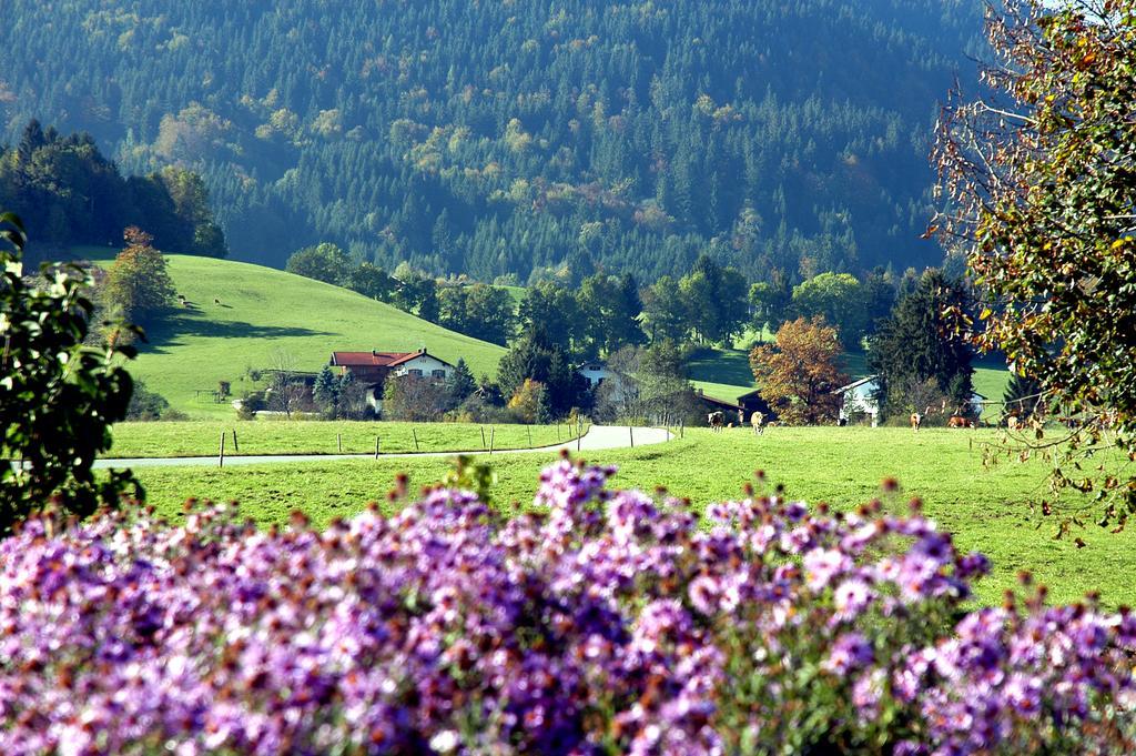 Appartamento Im Alpengaestehaus Marzoll - *