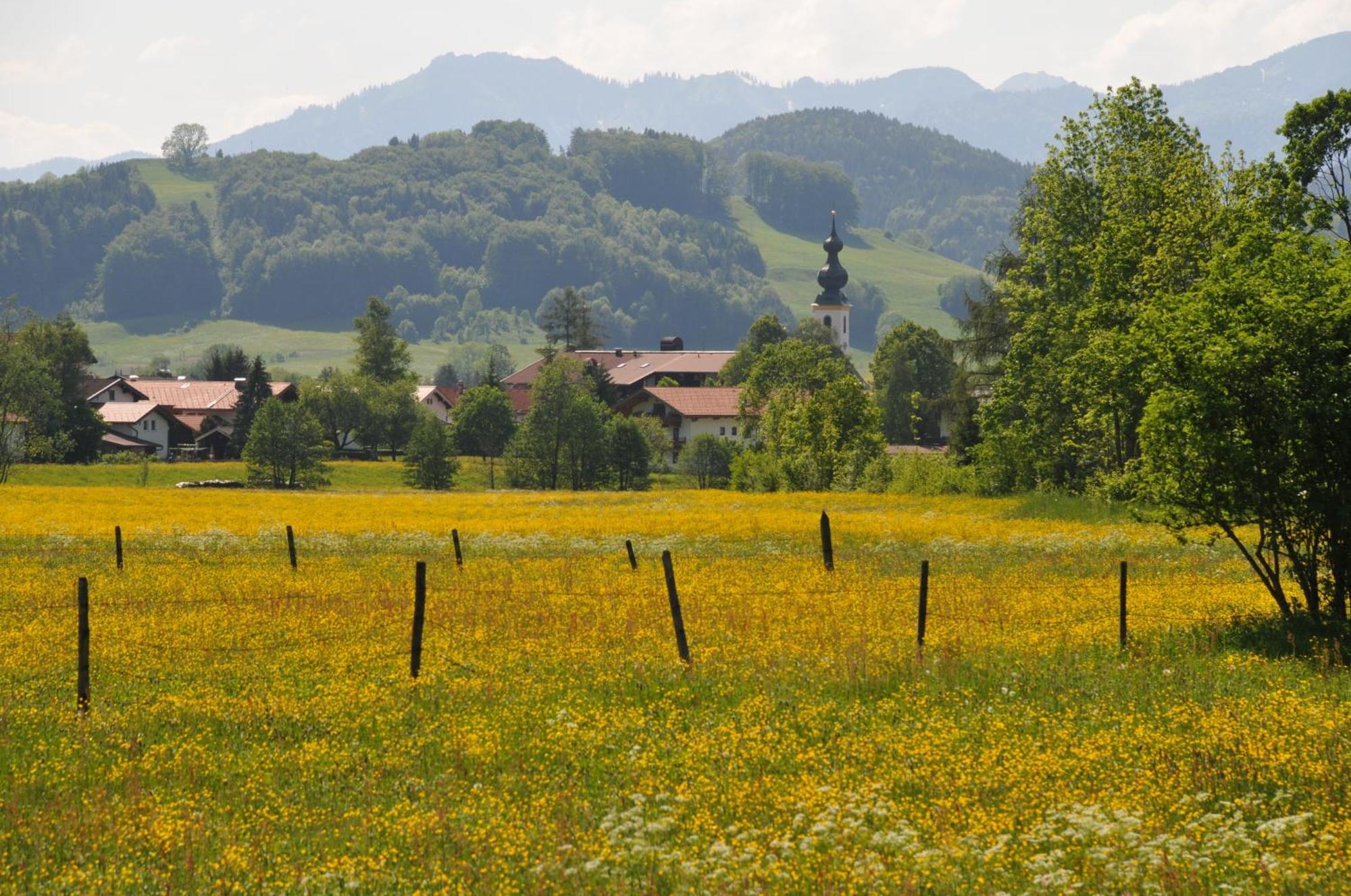 Im Alpengaestehaus Marzoll - Apartment Bad Reichenhall